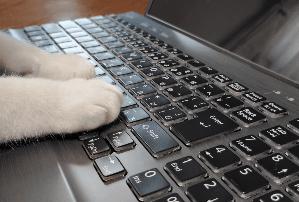 猫のタイピング